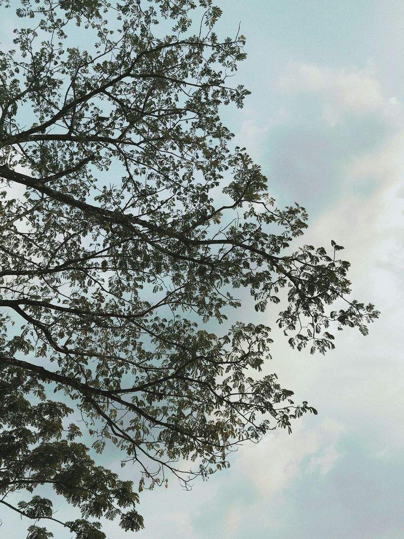 未来学園 - Image 11