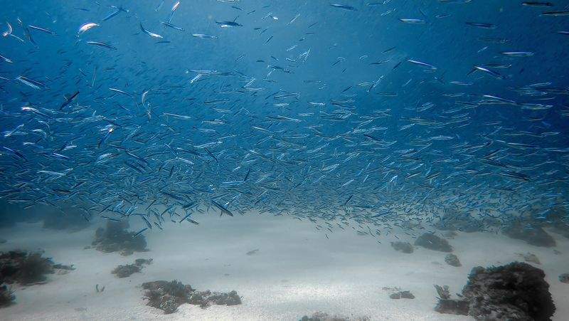 未来学園 - Image 13